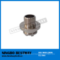 Chine Insert fileté en laiton de Ningbo Bestway avec de haute qualité (BW-841)